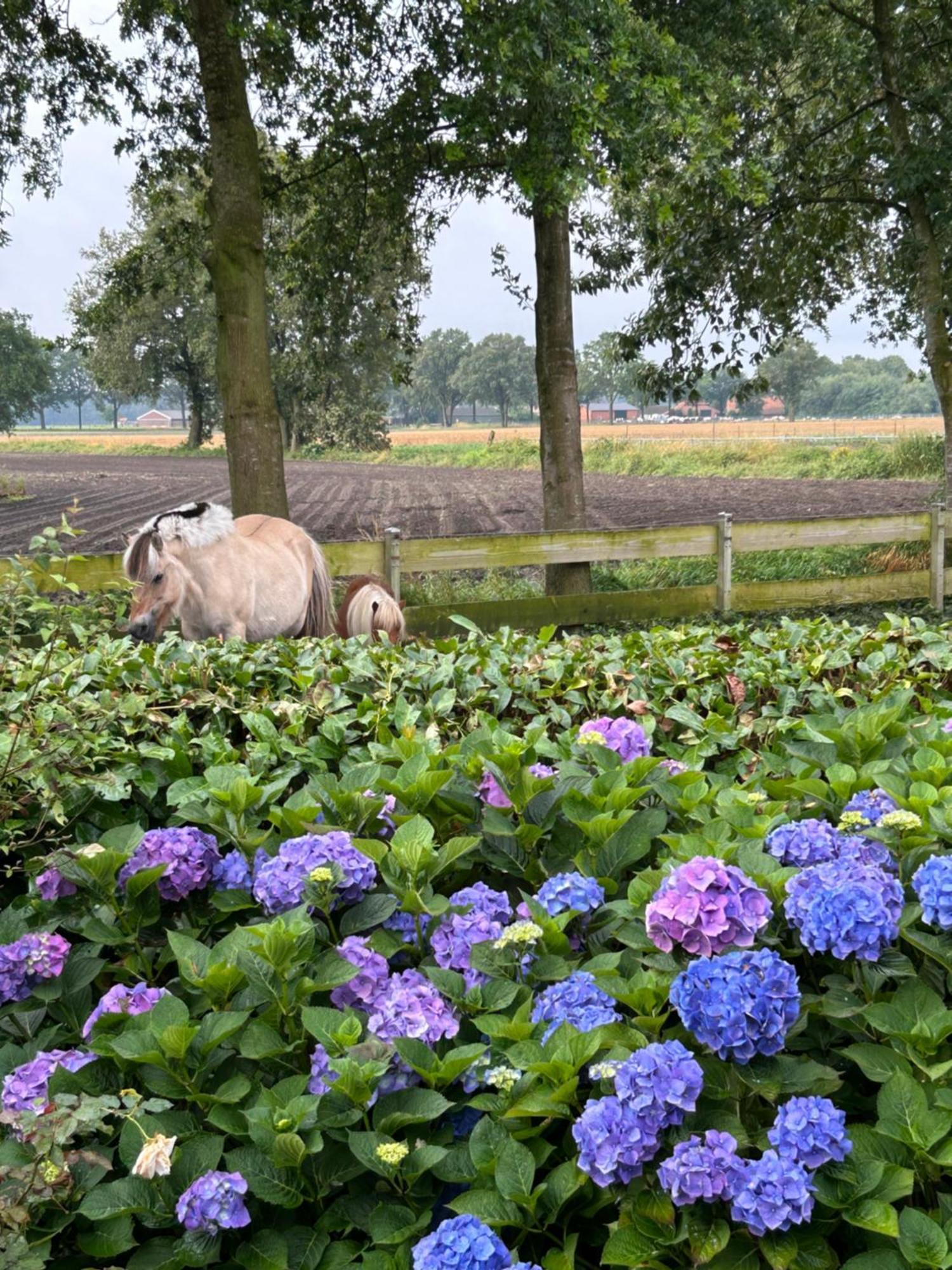 Heikant Hoeve Met Jacuzzi Apartment