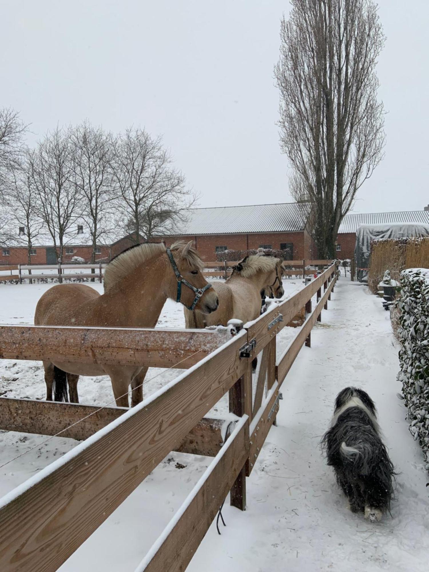 Apartment Heikant Hoeve Met Jacuzzi
